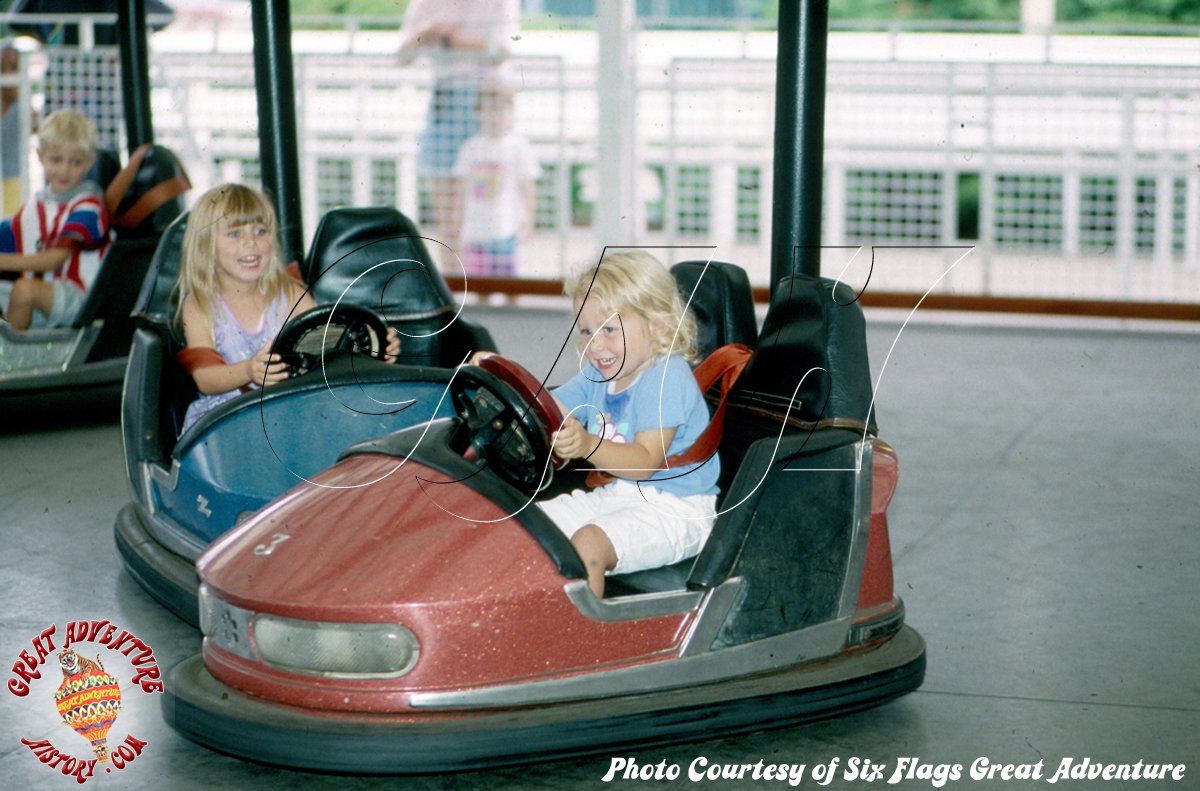 bertazzon bumper cars